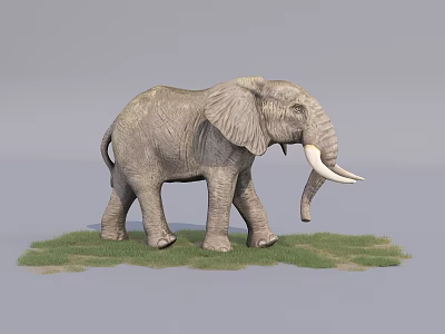 Reptile Lizard Walking On Green Grassy Field In Natural Habitat 3d model