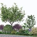 Arbor as Centerpiece in Garden Landscape With Shrubs Colorful Flowers and Green Plants