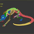 Medical Instrument Animal Skeleton Model With Metal Construction For Anatomical Teaching