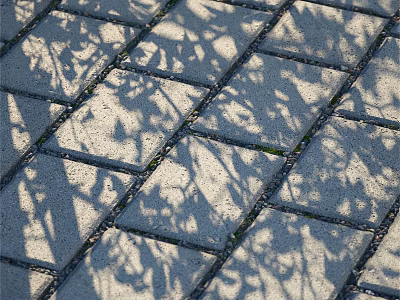 Outdoor Brick Tile Ground Featuring Sunlit Leaf Shadow Patterns And Natural Light 3d model