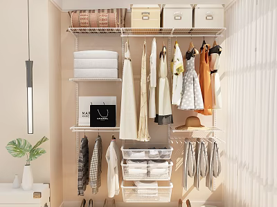 Well Organized Closet Interior With Hanging Clothes Folded Items Hat Bag And Storage Boxes 3d model