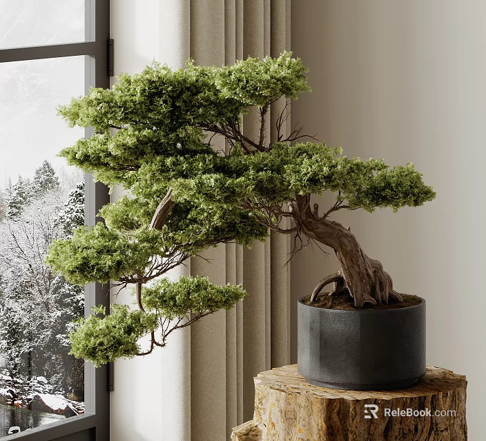 Indoor Bonsai Plant with Curved Trunk Lush Green Foliage in Gray Pot on Wooden Stump 3d model 