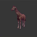 Brown And White Spotted Giraffe With Long Neck Standing Against Dark Background