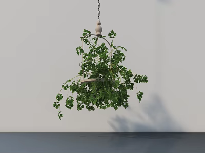 Hanging Plant Decoration With Cage Shaped Design Green Leaves And Chain On Light Wall 3d model