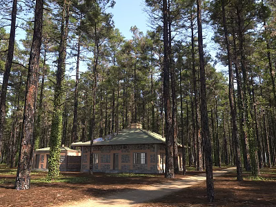 Brick Building With Green Roof Standing In Pine Forest Surrounded By Tall Trees 3d model
