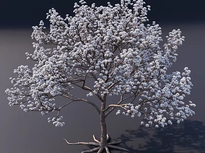 Snow Covered Tree with White Snow on Trunk and Branches Exposed Roots Against Gray Background 3d model