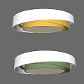 Modern Minimalist Ceiling Light With Gold And Green Inner Ring Design 3d model