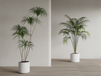 New Chinese Green Plant Potted Plant Scene No. 3d model