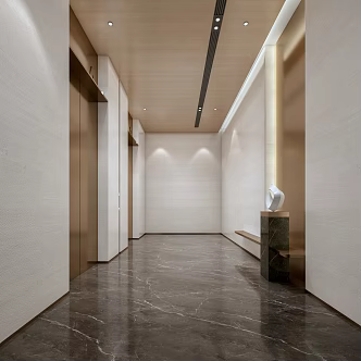 Light Luxury Elevator Hall 3d model