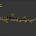 Detailed Silver Shark Model With Spots On Dark Background Showing Reflection