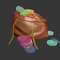 Shiny Golden Money Bag With Scattered Gold Coins Inside And Around