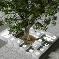 Outdoor Landscape Seats Around Large Tree With Stone Structure And Chinese Characters