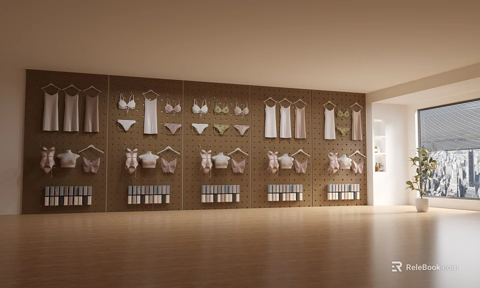 Modern Lingerie Boutique With Wall Mounted Hangers Bras And Panties 3d model 
