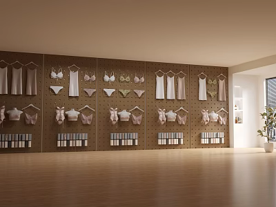 Modern Lingerie Boutique With Wall Mounted Hangers Bras And Panties 3d model