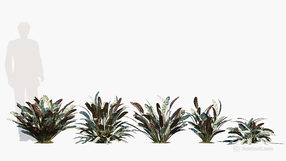 Colorful Leaf Shrubs with Various Green and Brown Foliage Arranged in Garden Landscape 3d model 