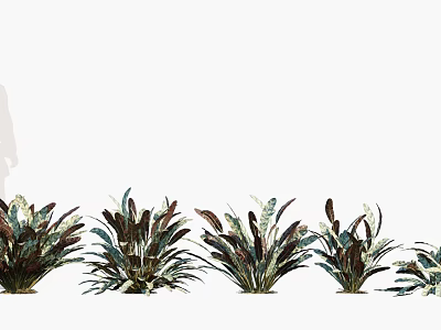 Colorful Leaf Shrubs with Various Green and Brown Foliage Arranged in Garden Landscape 3d model