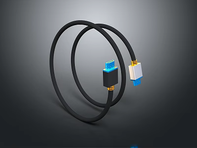 Black USB Data Cable With Blue And White Connectors For Daily Use 3d model
