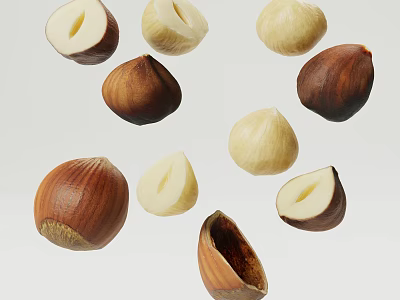 Fresh Hazelnuts With Whole And Halved Varieties 3d model
