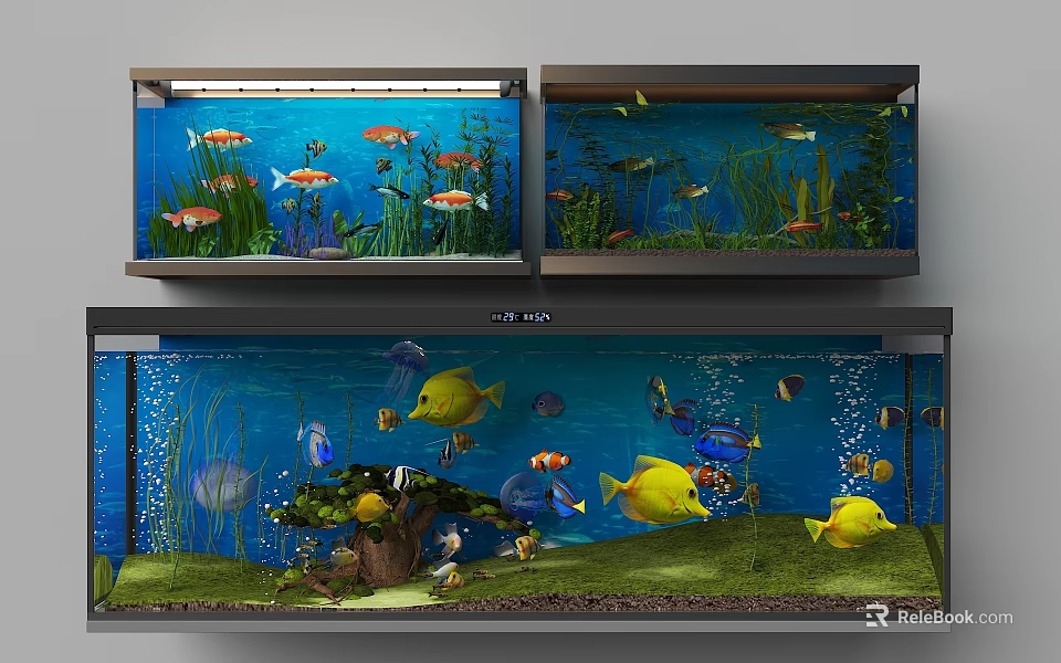 Multi Level Fish Tank Display With Colorful Tropical Fish Aquatic Plants And Decorations 3d model 