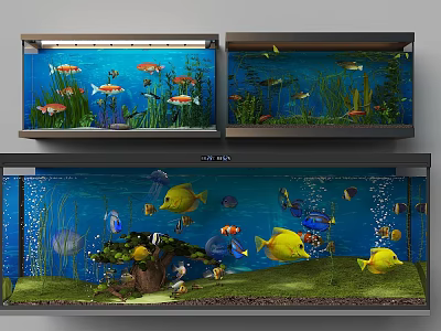 Multi Level Fish Tank Display With Colorful Tropical Fish Aquatic Plants And Decorations 3d model
