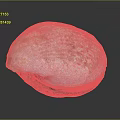 Organ And Hair Texture With Pink White Surface On Dark Background