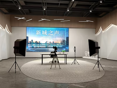 Mall Store Studio With Large Screen City View Camera Lighting Setup Modern Design Round Carpet 3d model