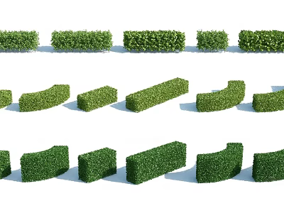 Well Trimmed Shrubs in Various Linear and Curved Shapes for Garden Design 3d model