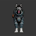 Siberian Husky Dog Wearing Camouflage Tactical Vest With Utility Pockets On White Background