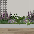 Indoor Flower Arrangement With Purple Blooms White Hydrangeas Green Foliage And Wooden Floor