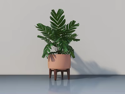 Indoor Potted Plant With Large Green Leaves In Pink Pot On Wooden Stand 3d model