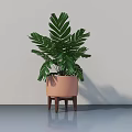 Indoor Potted Plant With Large Green Leaves In Pink Pot On Wooden Stand
