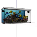 Beautiful Aquarium Fish Tank With Colorful Tropical Fish Corals And Aquatic Plants