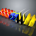 Colorful Tropical Fish Of Various Species With Vibrant Colors Arranged In A Row And Reflections