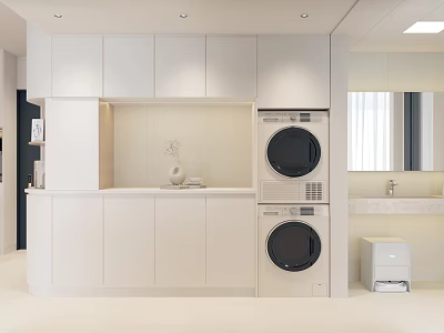 Modern Foyer Hallway Design With White Cabinets And Washer Dryer 3d model