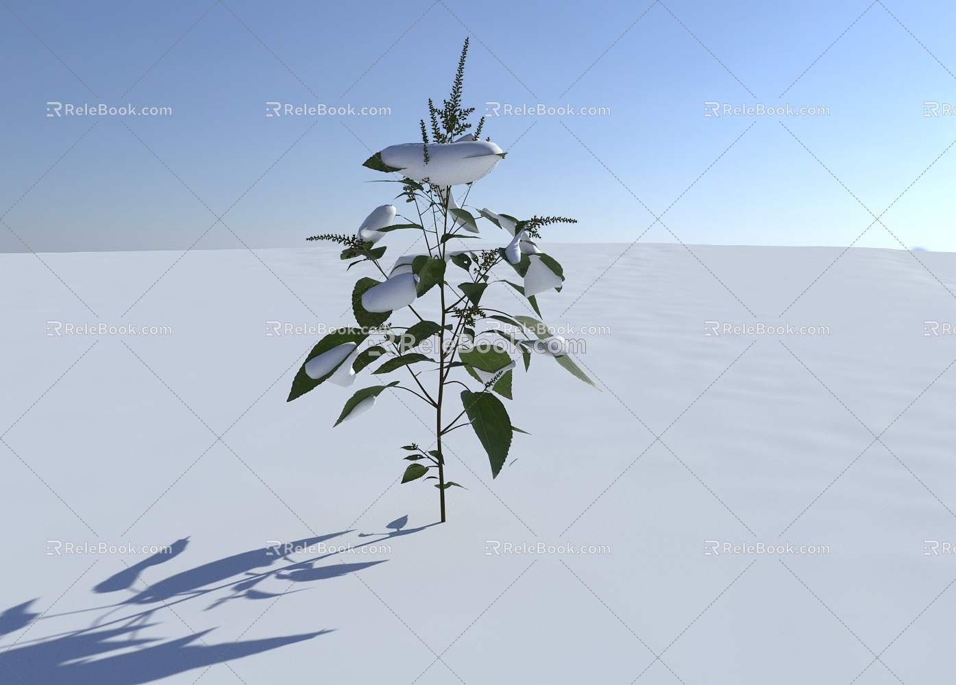 Modern Snow Scene Snow Plants 3d model