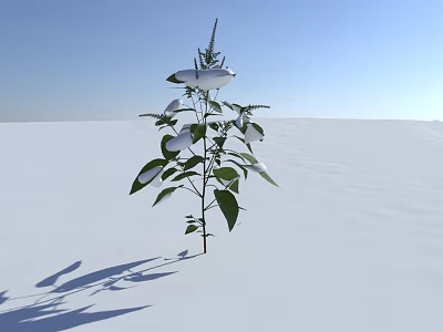 Modern Snow Scene Snow Plants 3d model