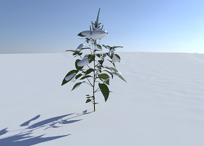 Modern Snow Scene Snow Plants 3d model