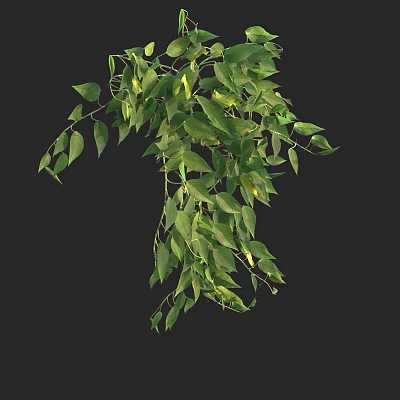 Modern plant golden fortune tree goldfish grass 3d model