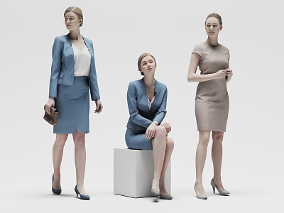 Business Women Elegant Women Workplace Women 3d model