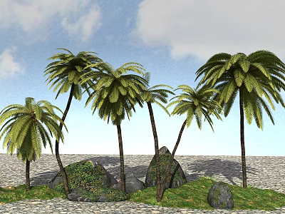 Palm Trees as Tall Arbor with Green Foliage Blue Sky White Clouds Grass and Rocks 3d model