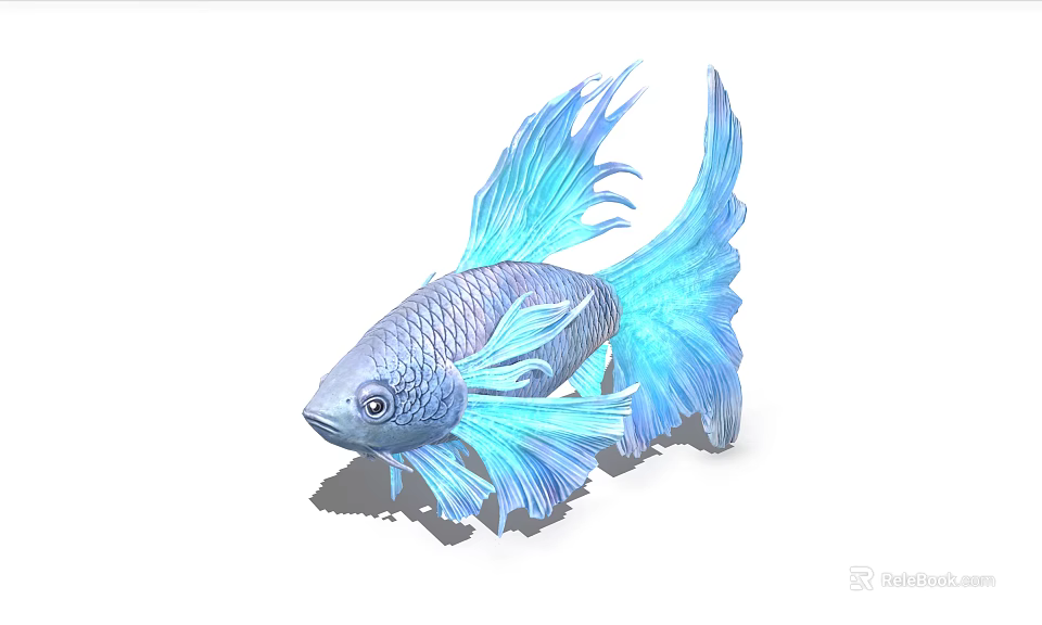 Gorgeous Blue Betta Fish With Elegant Flowing Fins As Aquatic Animal 3d model 
