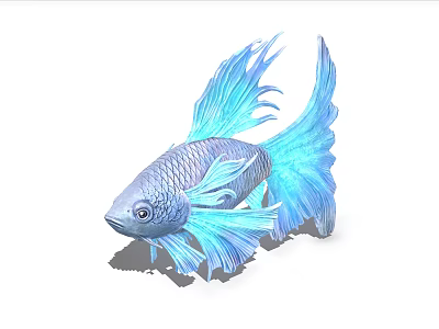 Gorgeous Blue Betta Fish With Elegant Flowing Fins As Aquatic Animal 3d model