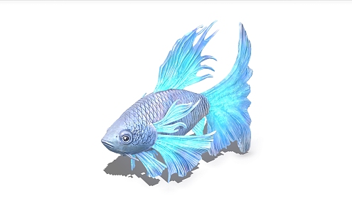 fish tropical fish ornamental fish 3d model