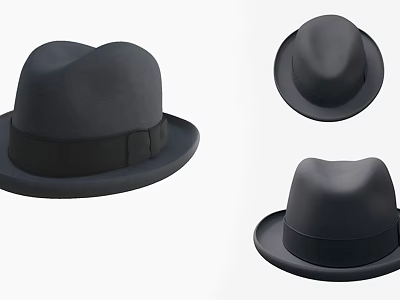 Stylish Black Classic Hat With Ribbon Band For Fashionable Daily Wear 3d model