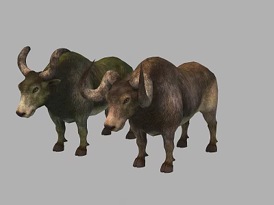 Two Cows 3D Model With Standing Posture Green And Brown Colors On Gray Background 3d model