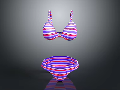 Stylish Women's Summer Red and Blue Striped Bikini Two Piece Swimsuit 3d model