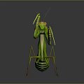 Modern mantis knife-winged insect 3d model