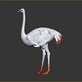 Modern Ostrich 3d model