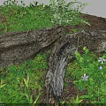 Vibrant Flowers and Lush Green Plants Around Weathered Log in Natural Grass Setting