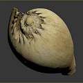 Detailed Yellow Plant Seed Shaped Sculpture With Carved Inscriptions And Numbers